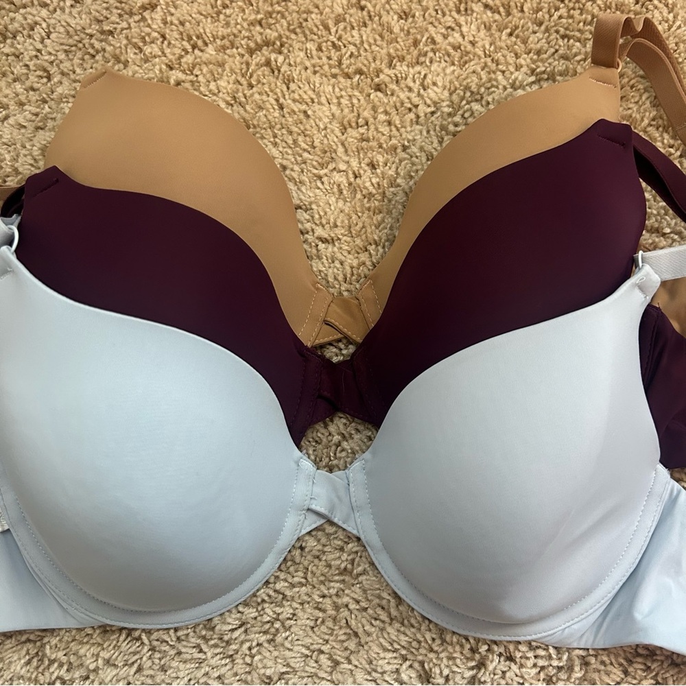 Harper Wilde bras 38B